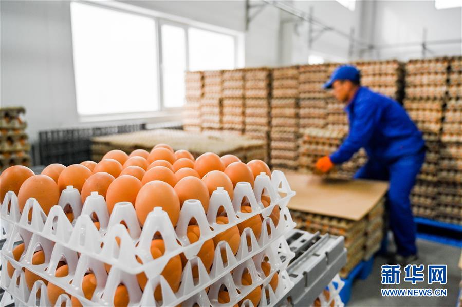 （新華全媒頭條&middot;圖文互動）（9）內(nèi)蒙古貧困旗縣全部&ldquo;摘帽&rdquo;