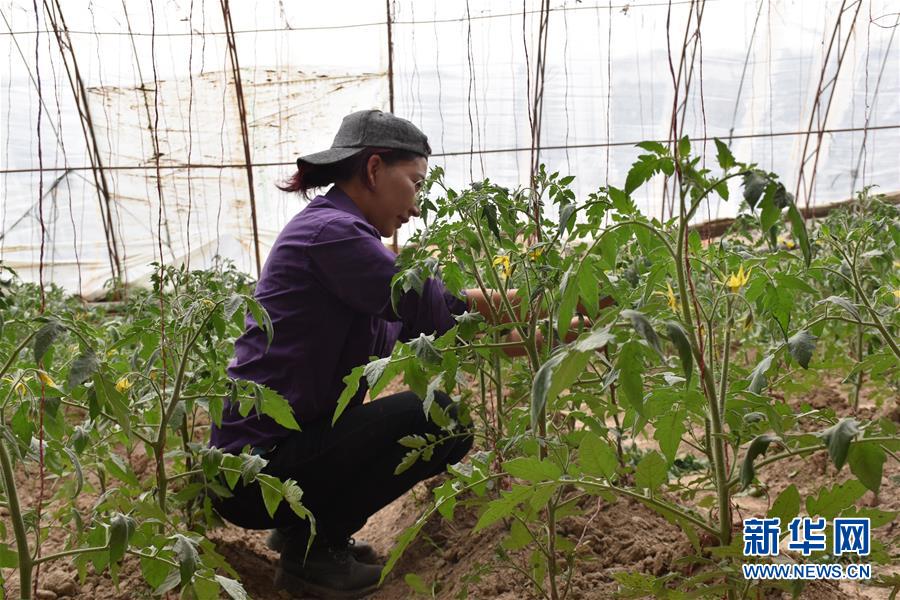 （圖文互動）（2）&ldquo;桃花源&rdquo;里話豐年 &mdash;&mdash;帕米爾山區(qū)一處扶貧搬遷點(diǎn)見聞