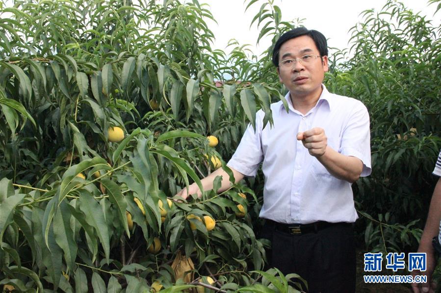 （圖文互動）（2）&ldquo;為脫貧而來，為脫貧而去&rdquo;&mdash;&mdash;追記湖南炎陵縣委原書記黃詩燕 