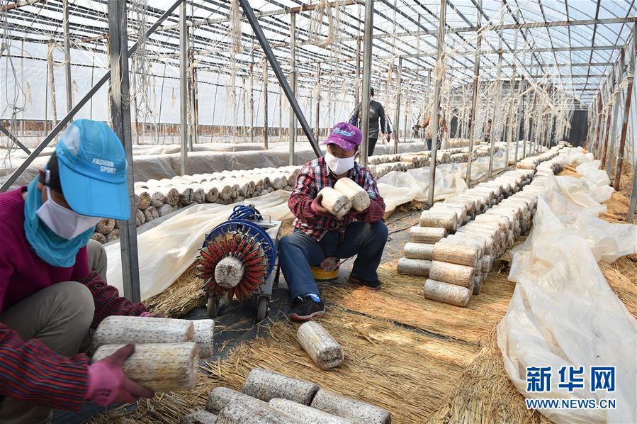 （決戰(zhàn)決勝脫貧攻堅&middot;圖文互動）（4）長白山下唱新篇&mdash;&mdash;吉林延邊州脫貧攻堅觀察