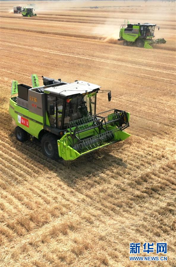 （在習(xí)近平新時(shí)代中國特色社會(huì)主義思想指引下&mdash;&mdash;新時(shí)代新作為新篇章&middot;習(xí)近平總書記關(guān)切事&middot;圖文互動(dòng)）（13）讓農(nóng)民挑上&ldquo;金扁擔(dān)&rdquo;&mdash;&mdash;農(nóng)業(yè)現(xiàn)代化的生動(dòng)實(shí)踐掃描