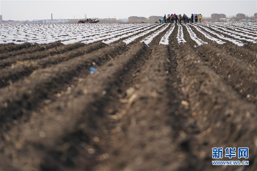 （在習(xí)近平新時(shí)代中國(guó)特色社會(huì)主義思想指引下&mdash;&mdash;新時(shí)代新作為新篇章&middot;習(xí)近平總書記關(guān)切事&middot;圖文互動(dòng)）（3）讓每一寸耕地都成為豐收的沃土&mdash;&mdash;我國(guó)加強(qiáng)耕地保護(hù)推進(jìn)&ldquo;藏糧于地&rdquo;