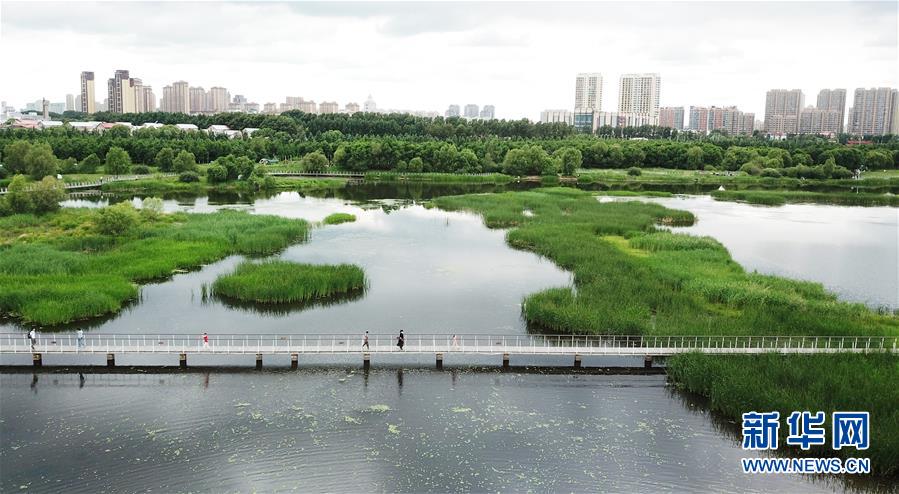 （走向我們的小康生活·圖文互動）（1）水清、地綠、空氣新——最北省份黑龍江繪就生態(tài)治理新畫卷