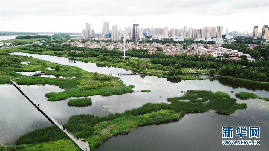 （走向我們的小康生活·圖文互動）（2）水清、地綠、空氣新——最北省份黑龍江繪就生態(tài)治理新畫卷