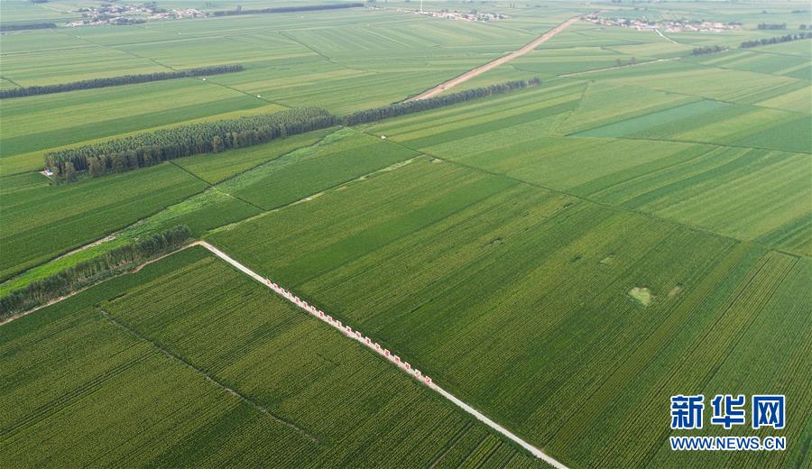 （在習(xí)近平新時(shí)代中國(guó)特色社會(huì)主義思想指引下&mdash;&mdash;新時(shí)代新作為新篇章&middot;習(xí)近平總書記關(guān)切事&middot;圖文互動(dòng)）（2）為黑土加&ldquo;油&rdquo;&mdash;&mdash;&ldquo;耕地中的大熊貓&rdquo;，我們這樣保護(hù)