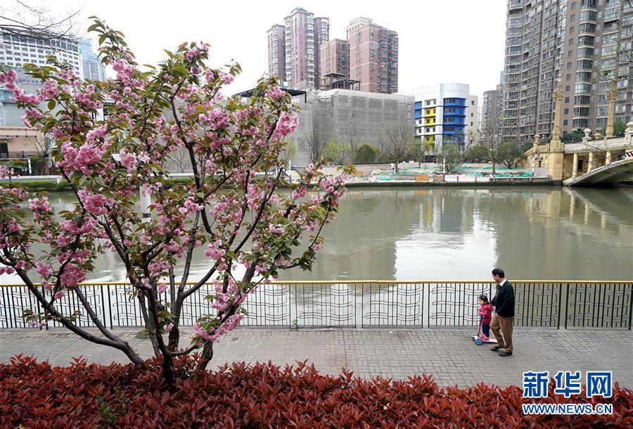 （新華全媒頭條·走向我們的小康生活·圖文互動(dòng)）（12）城市，讓人民生活更美好