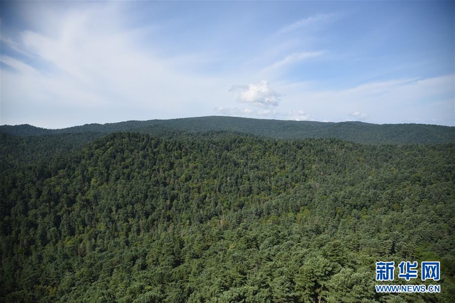 (鄉(xiāng)村振興·圖文互動(dòng))守護(hù)小興安嶺的“綠色明珠”