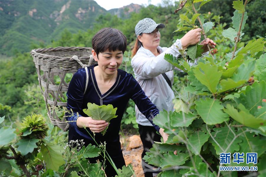 （新華全媒頭條·走向我們的小康生活·圖文互動）（7）長城腳下，小康村串成“珍珠鏈”