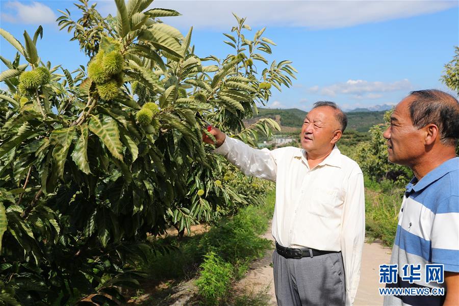 （新華全媒頭條·走向我們的小康生活·圖文互動）（11）長城腳下，小康村串成“珍珠鏈”