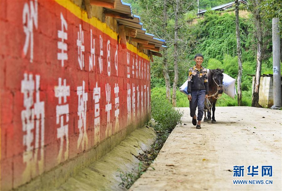 （新華全媒頭條·決戰(zhàn)決勝脫貧攻堅(jiān)·督戰(zhàn)未摘帽貧困縣·圖文互動）（6）苦蕎花開大涼山——四川7個(gè)未摘帽縣脫貧攻堅(jiān)一線觀察