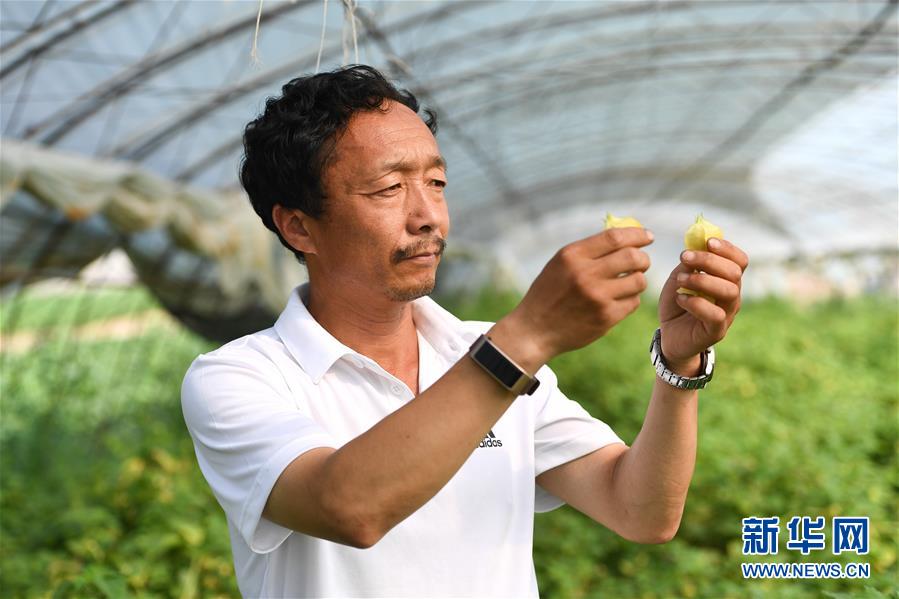 （新華全媒頭條·走向我們的小康生活·圖文互動）（7）黑土地上是我家——在吉林，一瞥中國東北鄉(xiāng)村美麗未來