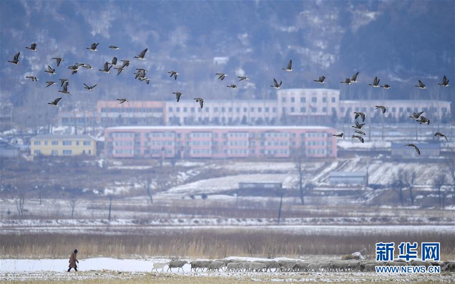 （新華全媒頭條·走向我們的小康生活·圖文互動）（14）黑土地上是我家——在吉林，一瞥中國東北鄉(xiāng)村美麗未來