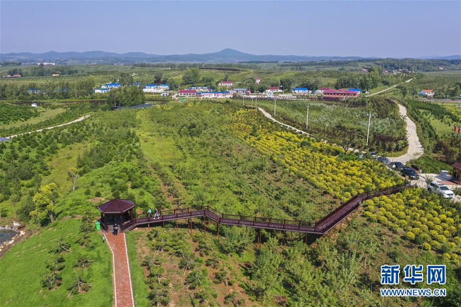 （新華全媒頭條·走向我們的小康生活·圖文互動）（16）黑土地上是我家——在吉林，一瞥中國東北鄉(xiāng)村美麗未來
