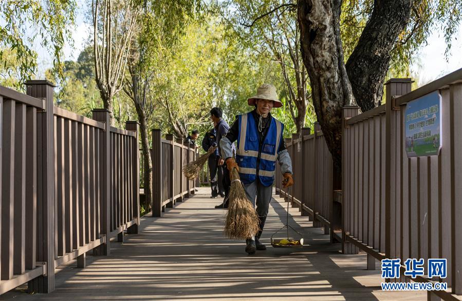（五中全會(huì)精神在基層&middot;圖文互動(dòng)）（3）一湖清水映&ldquo;綠&rdquo;廊&mdash;&mdash;高原明珠洱海&ldquo;顏值&rdquo;再提升