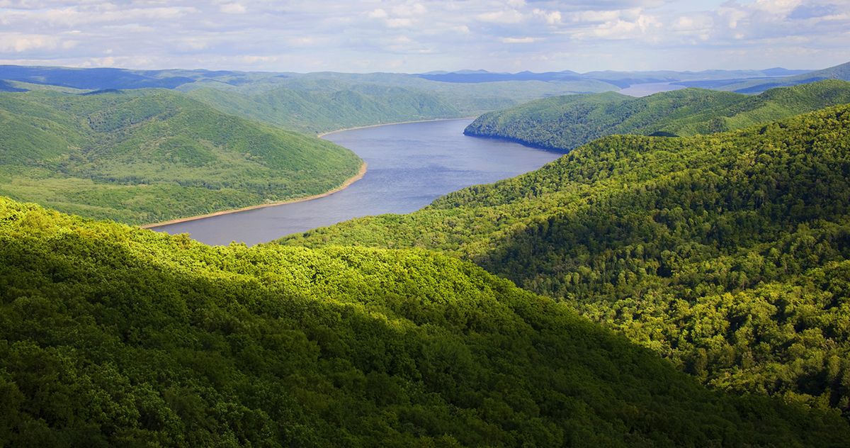 張建龍：&ldquo;三北工程&rdquo;實現(xiàn)生態(tài)、經(jīng)濟、社會效益&ldquo;多贏&rdquo;