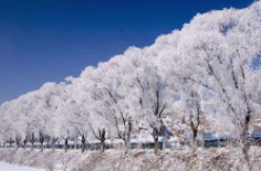 全國(guó)初雪時(shí)間表出爐 看看你離初雪還有多遠(yuǎn)？