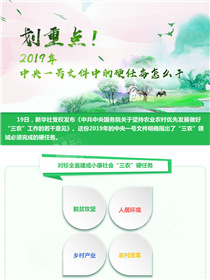 劃重點！2019年中央一號文件中的硬任務(wù)怎么干