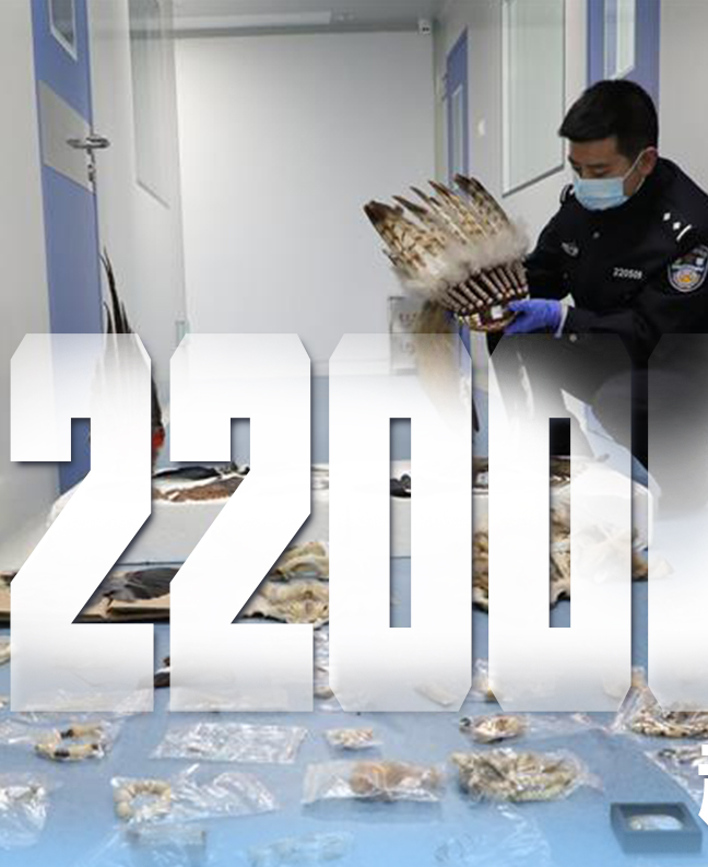 抗疫有&ldquo;法&rdquo;，就是這么給力！