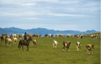 華能北方公司：奔小康，咱肯定能