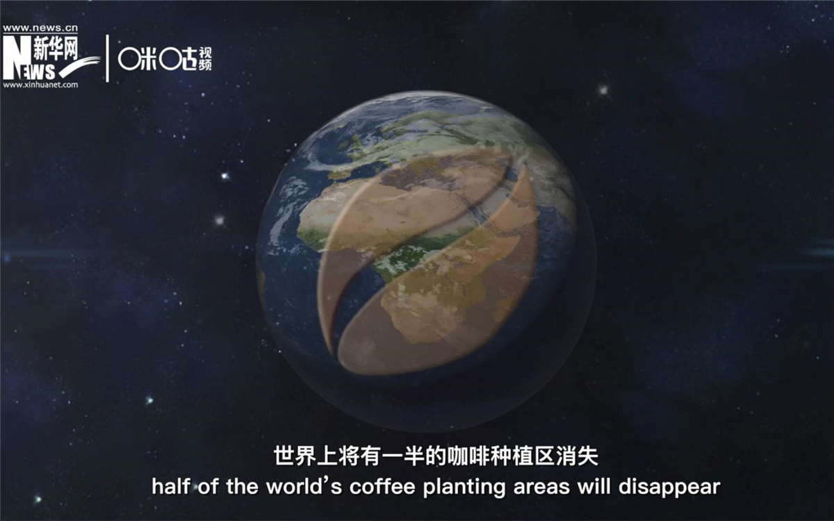 科學家預測到三十年后，世界上將有一半的咖啡種植區(qū)消失