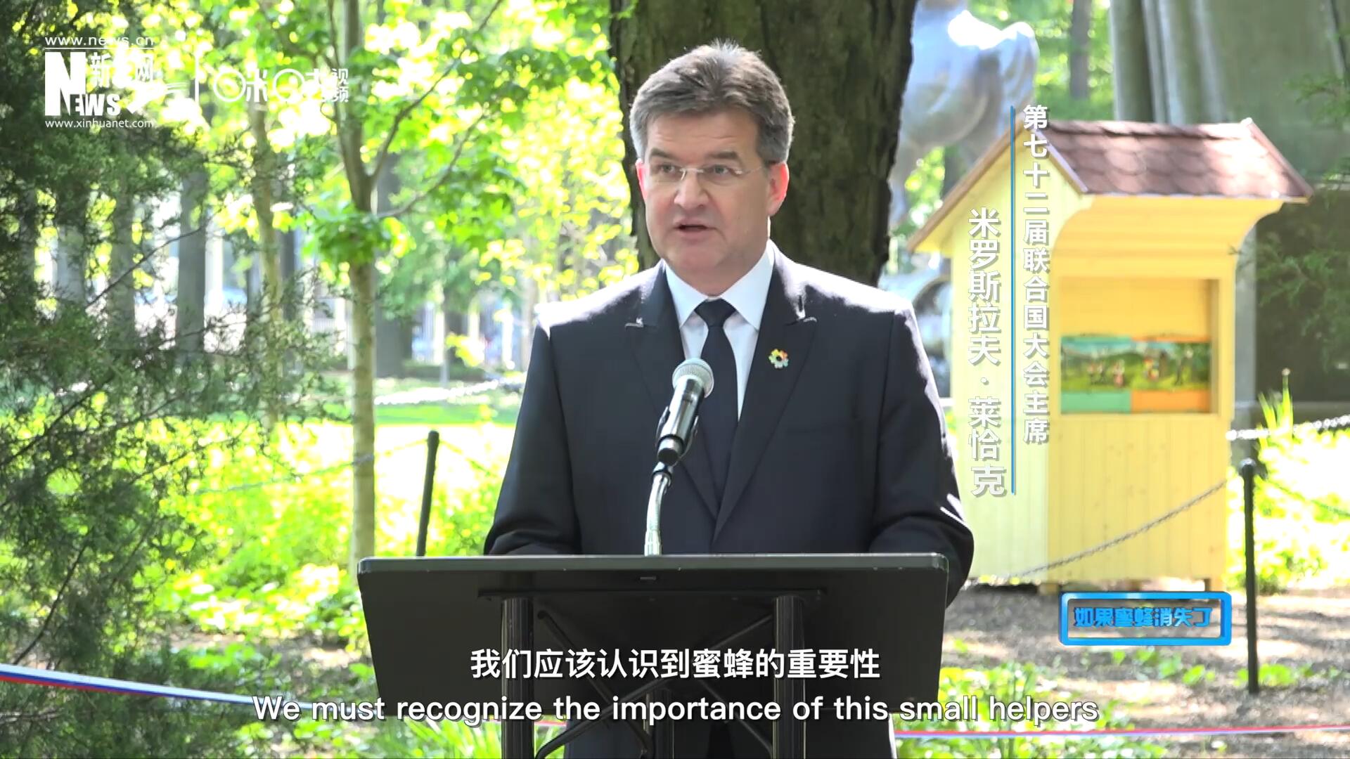 我們應(yīng)該認(rèn)識到蜜蜂的重要性，所以我們用“世界蜜蜂日”提高大家保護蜜蜂的意識，并且用實際行動去保護蜜蜂