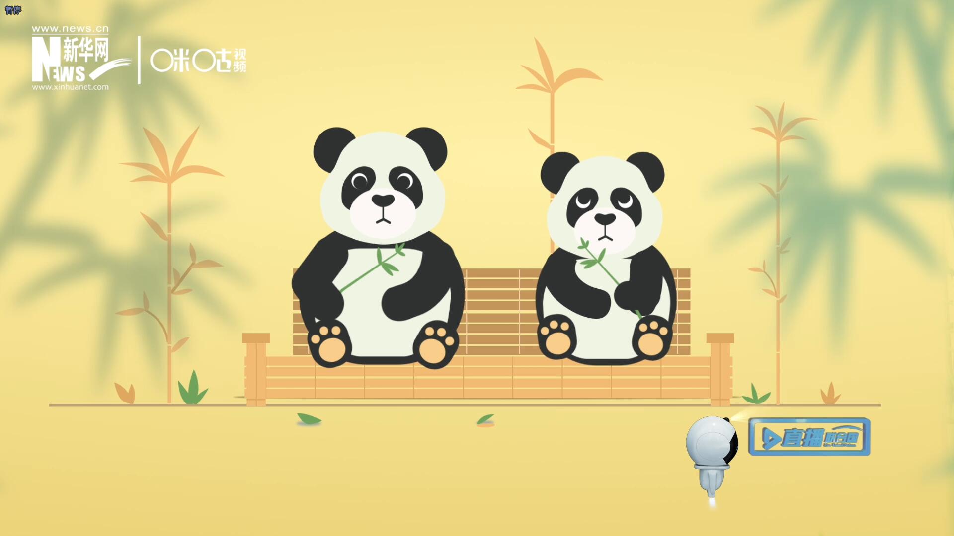 “哥哥你看，又有人來看我們了。”“有什么奇怪的，我們可是聯(lián)合國‘最萌’的大使?。?rdquo;。