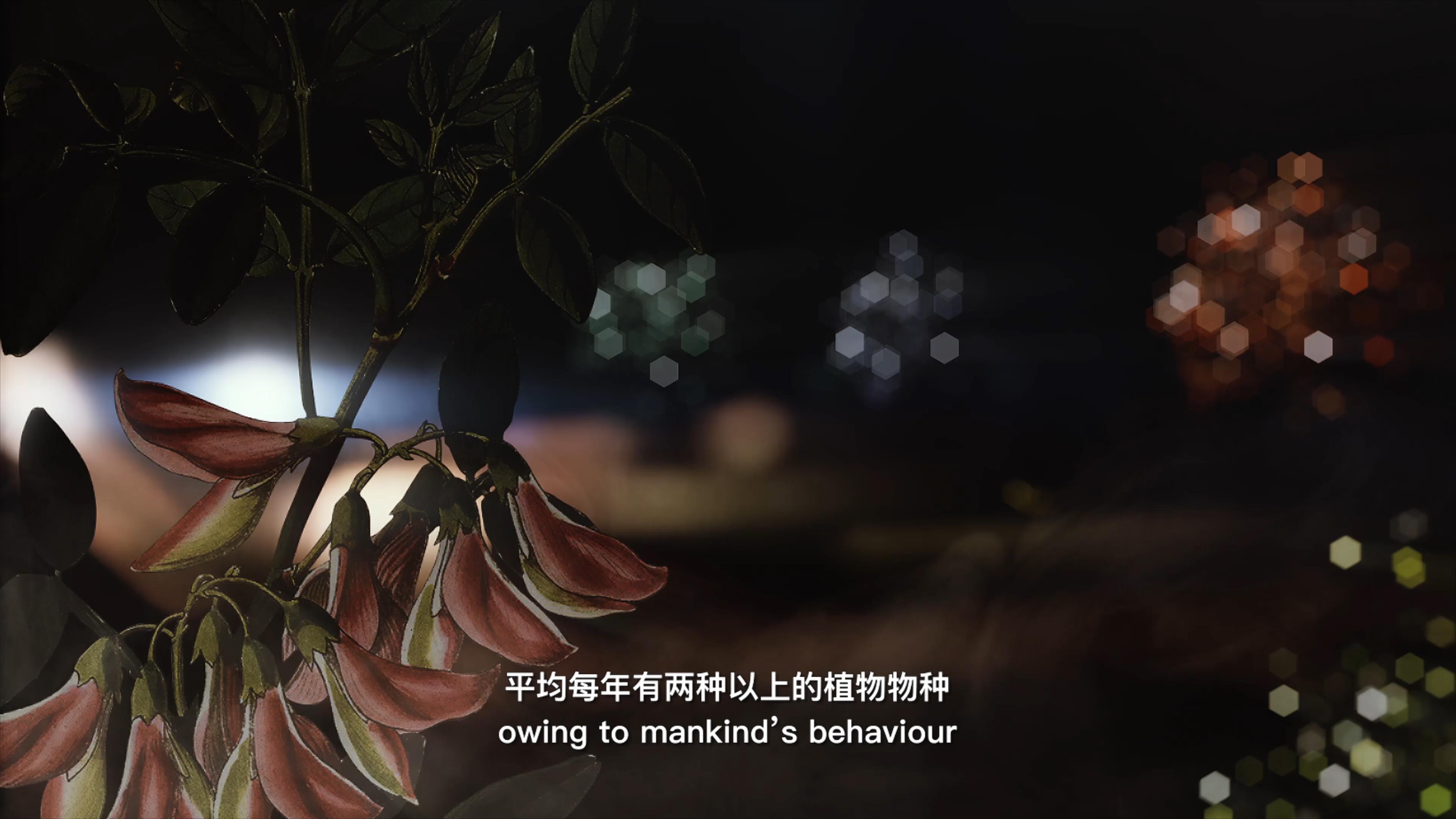 自18世紀(jì)中葉以來，許多植物物種因為人類的原因而從地球上消失