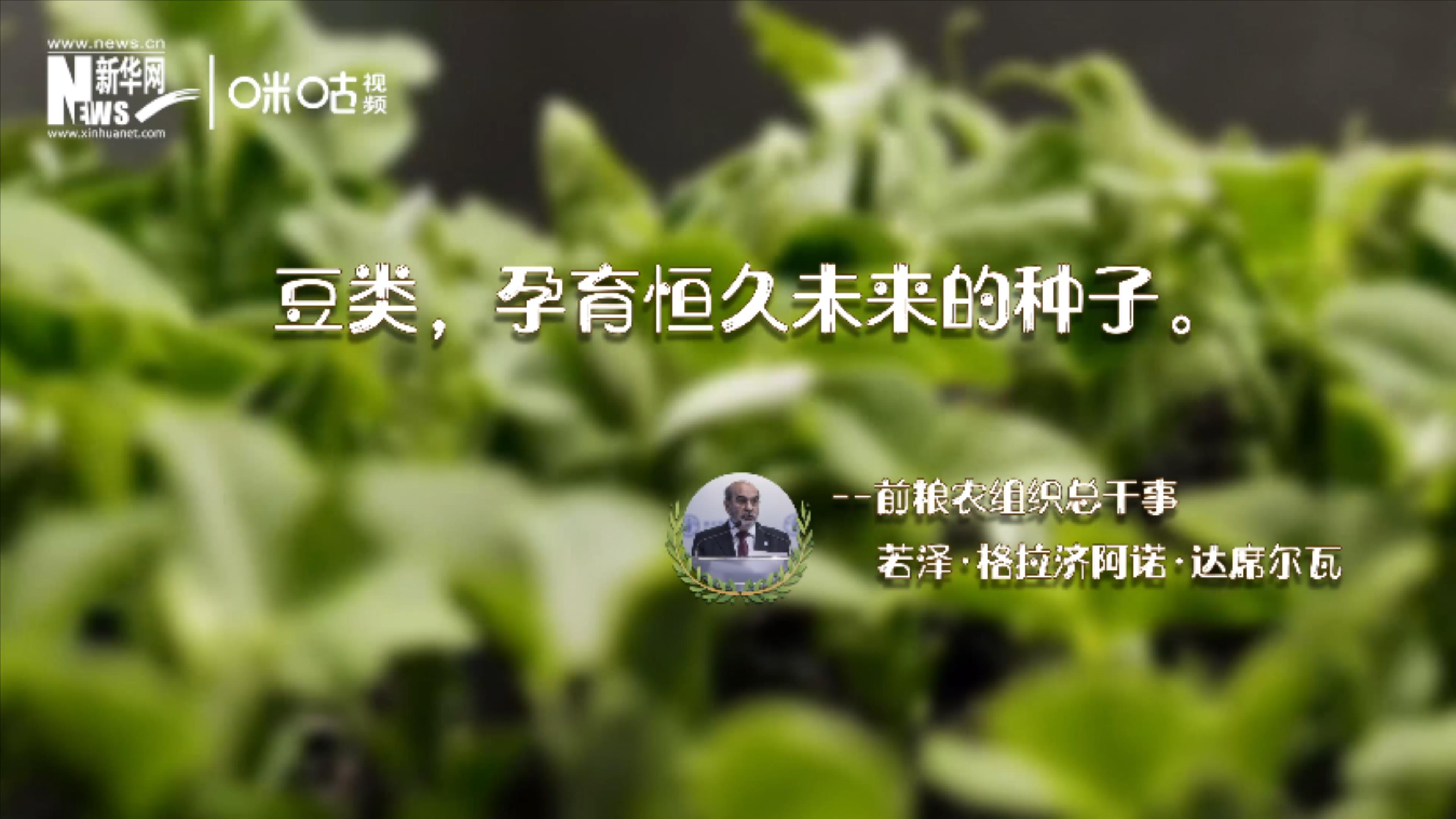 豆類，孕育恒久未來(lái)的種子