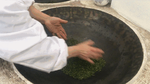 申遺，把雨花茶手藝傳承下去