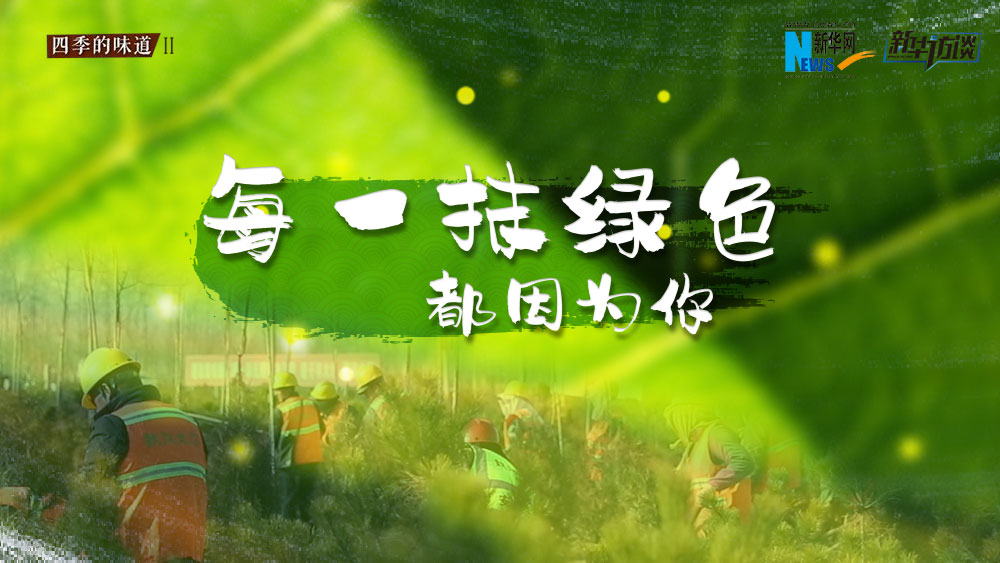 千年秀林，每一抹綠色都因?yàn)槟? /></p>
<p class=