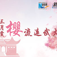 三月賞櫻，流連武大