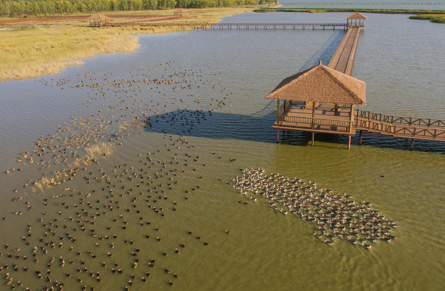 新華微評&middot;學習路上：生態(tài)興，百業(yè)旺