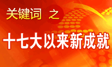 胡錦濤指出，十七大以來的五年各方面工作取得新的重大成就