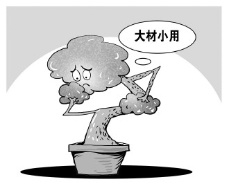 自認&ldquo;大材小用&rdquo;，不如腳踏實地