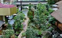 震撼！日本最豪華的廁所（組圖）