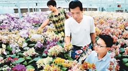臺商眼中的改革開放：風(fēng)景這邊獨好 要去，要去，要去！