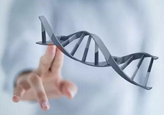 小細胞肺癌需要做基因檢測嗎？