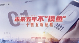 未來五年，不“摸魚”