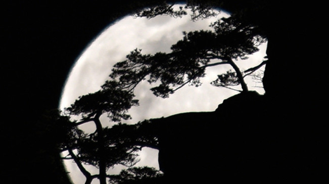 太驚艷！明月奇松 夢(mèng)幻同框