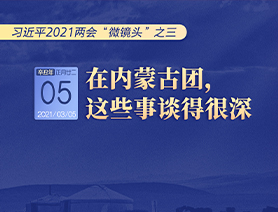 習(xí)近平2021兩會(huì)&ldquo;微鏡頭&rdquo;之三 3月5日 在內(nèi)蒙古團(tuán)，這些事談得很深