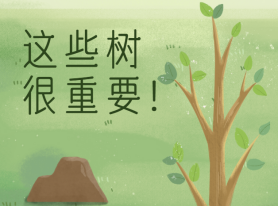 這些樹很重要！