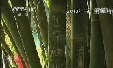 “五一”去哪？：快樂出行 文明旅游
