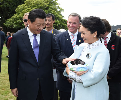 11月18日，國(guó)家主席習(xí)近平在澳大利亞塔斯馬尼亞州與朗塞斯頓市斯科奇－歐克伯恩小學(xué)的小學(xué)生共同植樹。這是習(xí)近平和夫人彭麗媛植樹后撫摸袋獾。新華社記者 馬占成 攝