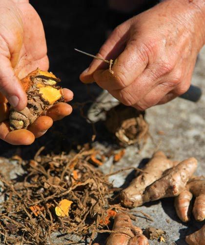 把當?shù)靥禺a帶回家