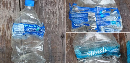 圖為社交網(wǎng)站上傳的在留尼汪島上發(fā)現(xiàn)的印尼產(chǎn)水瓶。