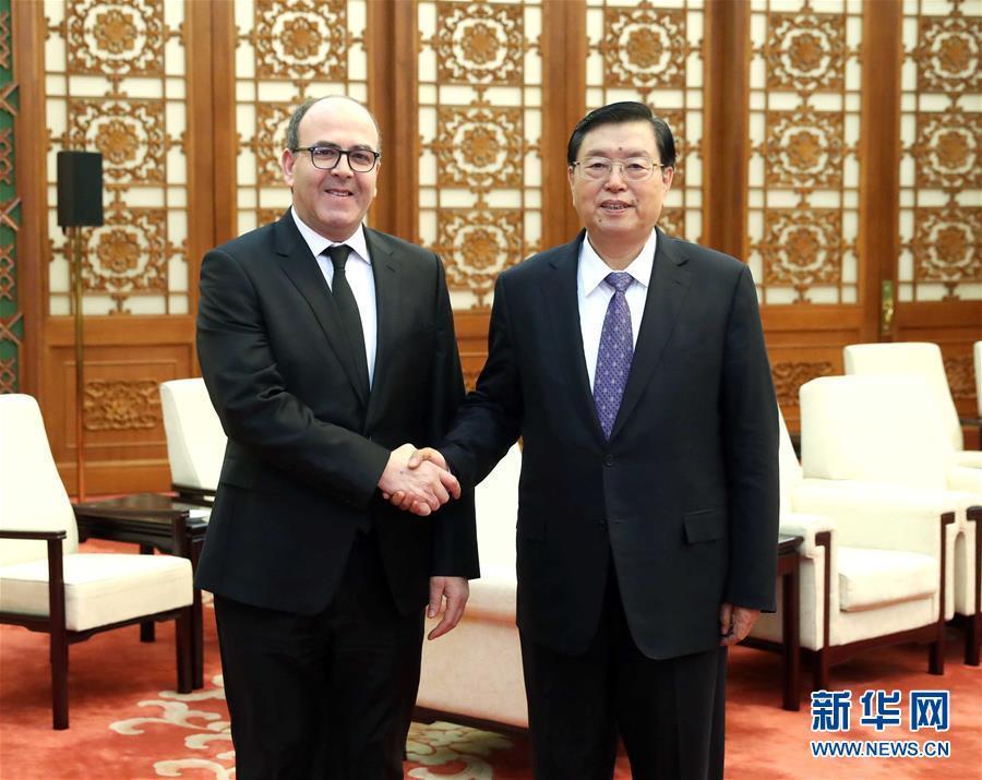 12月20日，全國人大常委會委員長張德江在北京人民大會堂會見摩洛哥參議長本希馬。新華社記者劉衛(wèi)兵攝