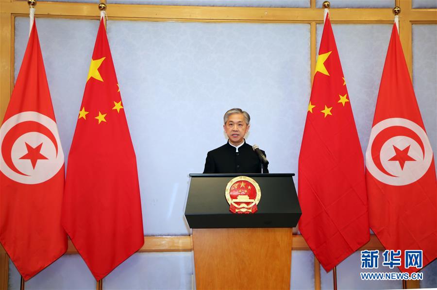 （XHDW&middot;圖文互動）（2）五湖迎亥歲　四海賀新春&mdash;&mdash;我駐外使領(lǐng)館舉辦新春招待會喜迎農(nóng)歷新年