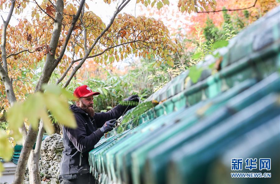 （國際&middot;圖文互動）（1）通訊：守護魯爾河畔中國園林的德國志愿者