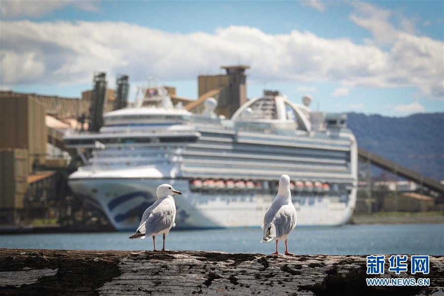 （國際疫情）（2）澳警方對(duì)&ldquo;紅寶石公主&rdquo;號(hào)郵輪展開刑事調(diào)查