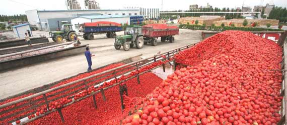 中國推動構(gòu)建共贏、互信、發(fā)展的新絲綢之路